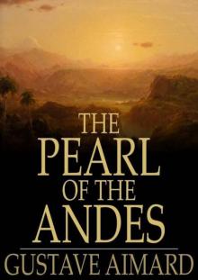      The Pearl of the Andes: A Tale of Love and Adventure