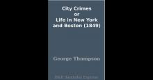      City Crimes; Or, Life in New York and Boston