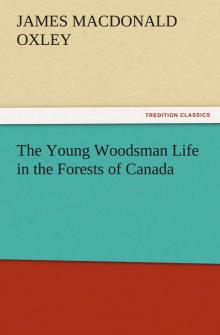      The Young Woodsman; Or, Life in the Forests of Canada