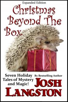      Christmas Beyond the Box