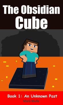      The Obsidian Cube, Book 1: An Unknown Past