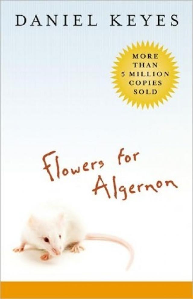 Flowers For Algernon Summary Report 10 at Grant Brown blog