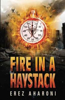      Fire in a Haystack: A Thrilling Novel