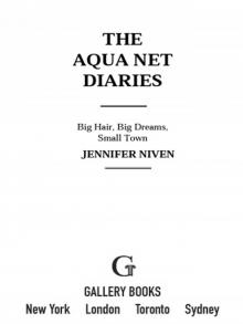      The Aqua Net Diaries: Big Hair, Big Dreams, Small Town