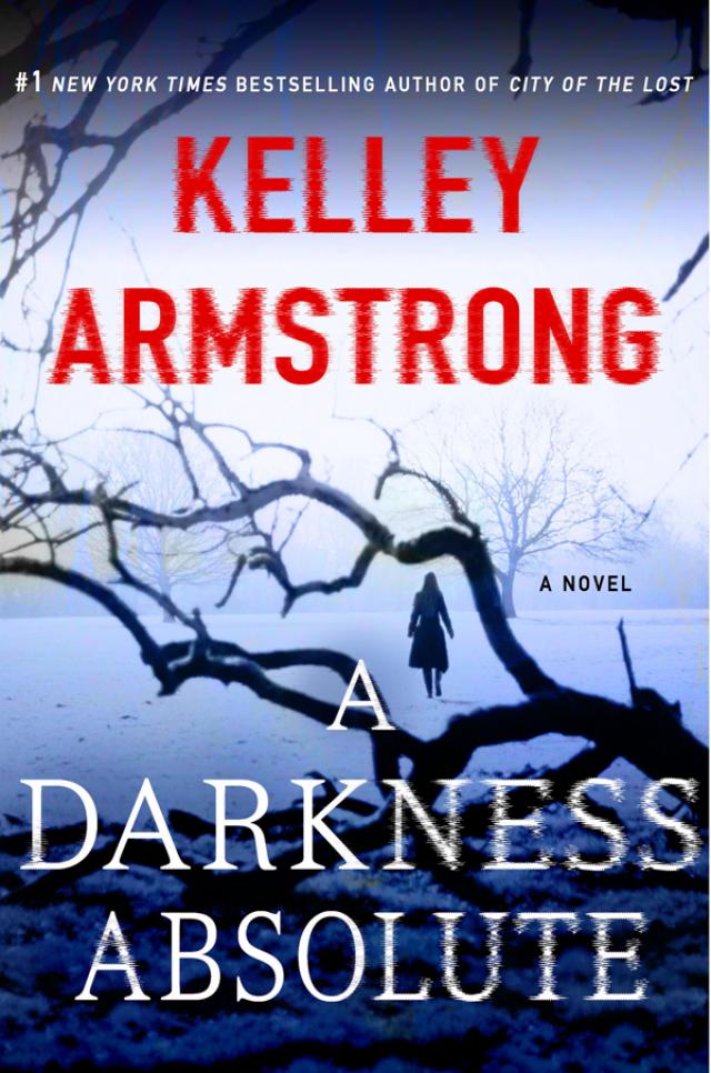 The Darkness Was Comfortable For Me Novel Read A Darkness Absolute Online Read Free Novel - Read Light Novel