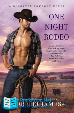      One Night Rodeo