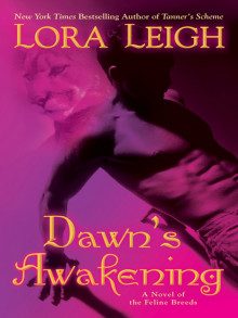      Dawn's Awakening