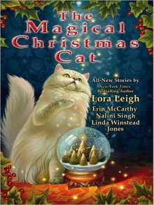      The Magical Christmas Cat