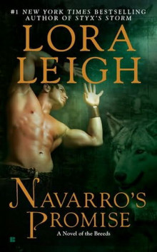      Navarro's Promise