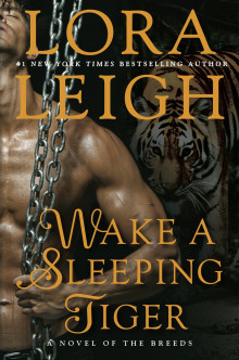      Wake A Sleeping Tiger