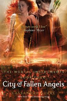      City of Fallen Angels