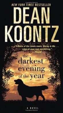      The Darkest Evening of the Year