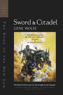      Sword and Citadel