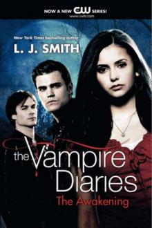      Stefans Diaries: The Ripper