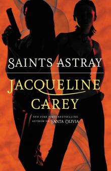      Saints Astray