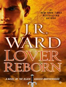      Lover Reborn