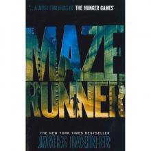      The Maze Runner