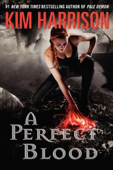      A Perfect Blood