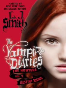      The Hunters: Destiny Rising