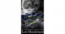      Shadow of the Moon
