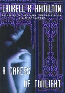      A Caress of Twilight
