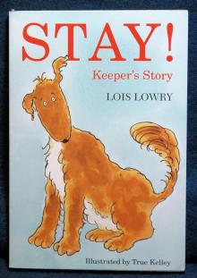      Stay Keepers Story