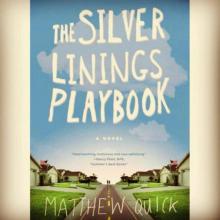      The Silver Linings Playbook