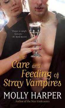      The Care and Feeding of Stray Vampires