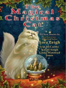      The Magical Christmas Cat