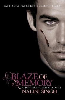      Blaze of Memory