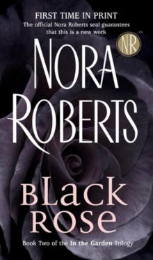      Black Rose