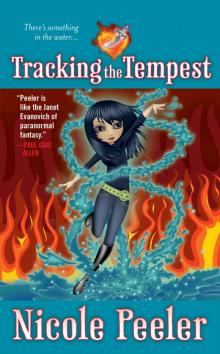      Tracking the Tempest