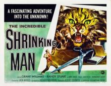      The Incredible Shrinking Man