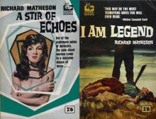      A Stir of Echoes
