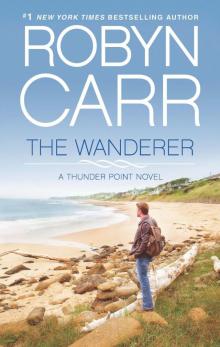      The Wanderer