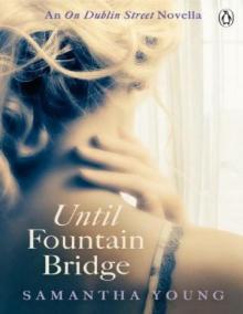      Until Fountain Bridge