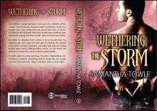      Wethering the Storm