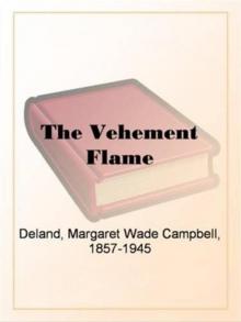      The Vehement Flame