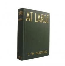      At Large