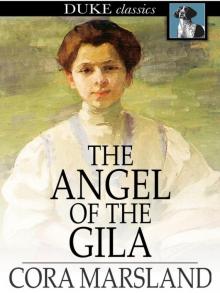      The Angel of the Gila: A Tale of Arizona