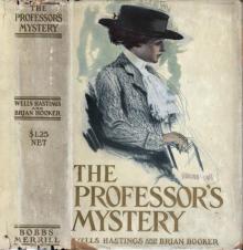      The Professor's Mystery