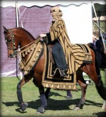      Bred of the Desert: A Horse and a Romance
