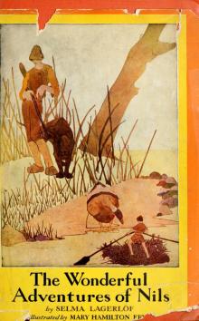      Nils Holgerssons underbara resa. English