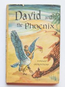      David and the Phoenix