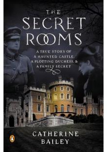      The Haunted Chamber: A Novel