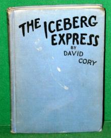      The Iceberg Express