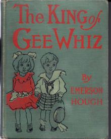      The King of Gee-Whiz