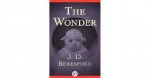      The Wonder