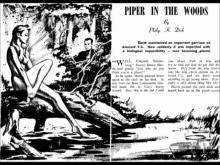      Piper in the Woods