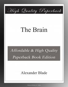      The Brain